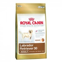 Royal Canin labrador retriever 12kg+doprava po Praze zdarma 