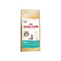 Royal Canin kitten main coon 10kg
